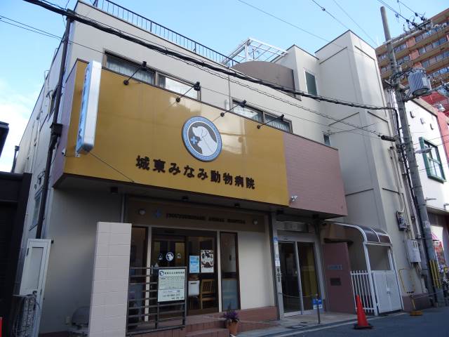 シャンテ21
										外観